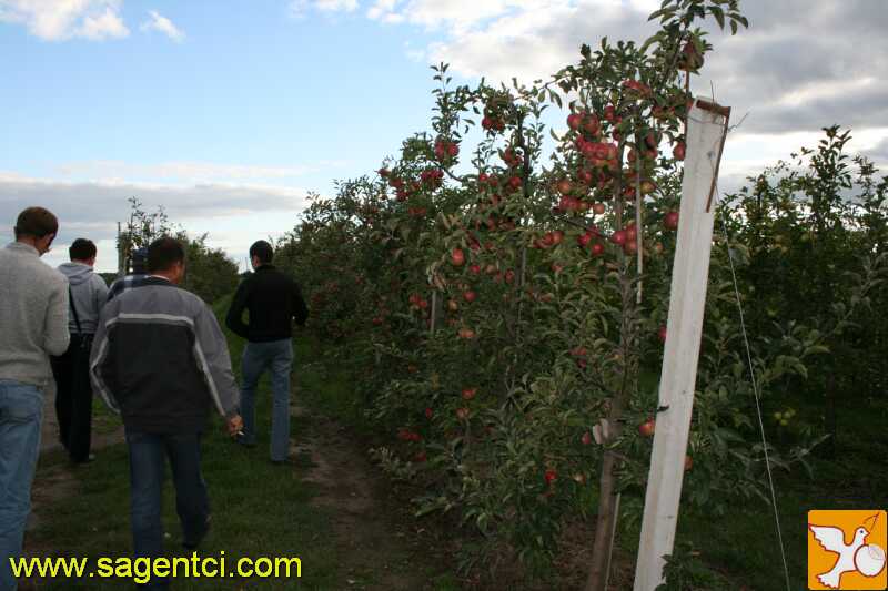 img_0510 семинар (15.09.07) г.Умань