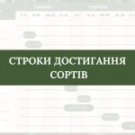 Сорти світової селекції на вивченні Сорти світової селекції на вивченні
